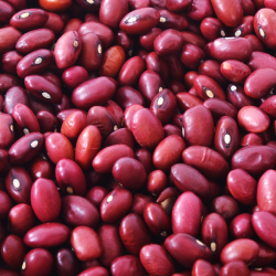 Feijão Vermelho 5kg