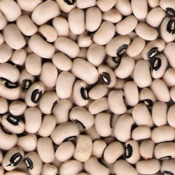 Black Eye Beans 5kg