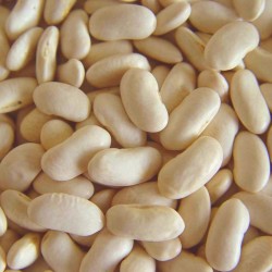 Butter Beans 5Kg