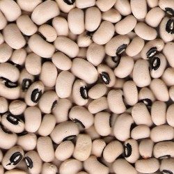 Black Eye Beans 10kg