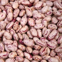 Kidney Beans 10kg